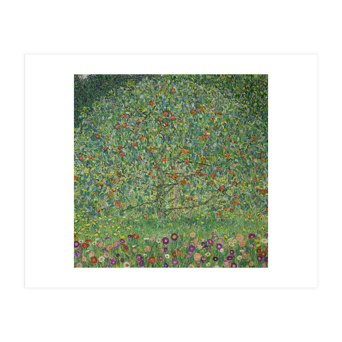 Apple Tree I, 1911 or 1912. Estates of Ferdinand and Adele Bloch-Bauer. (Print Only)