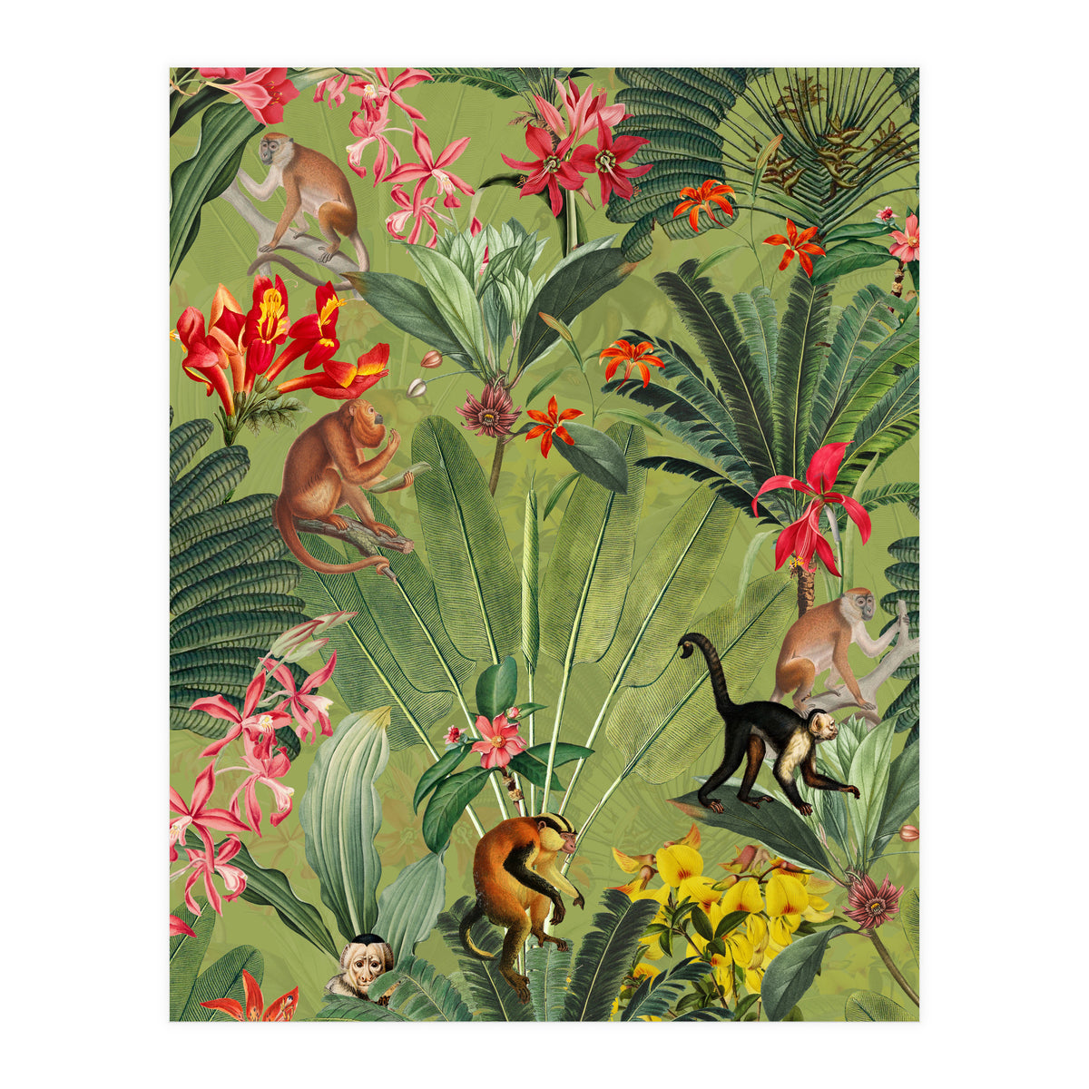 Monkeys In Tropical Jungle Paradise (Print Only)