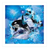 Orca (Print Only) thumbnail