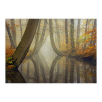 Bent trees in autumn (Print Only)