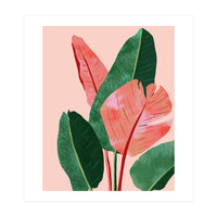 Blush Tropical, Banana Leaves Watercolor Botanical Jungle Painting, Forest Plants Leaves Pink Chic Bohemian (Print Only)