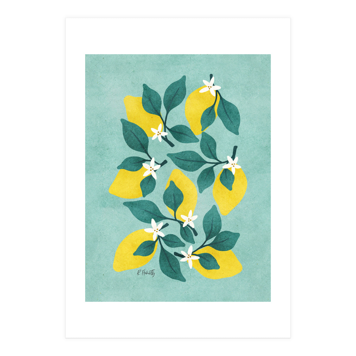 Lemon Blossom (Print Only)