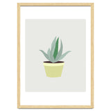 Succulent V1 thumbnail
