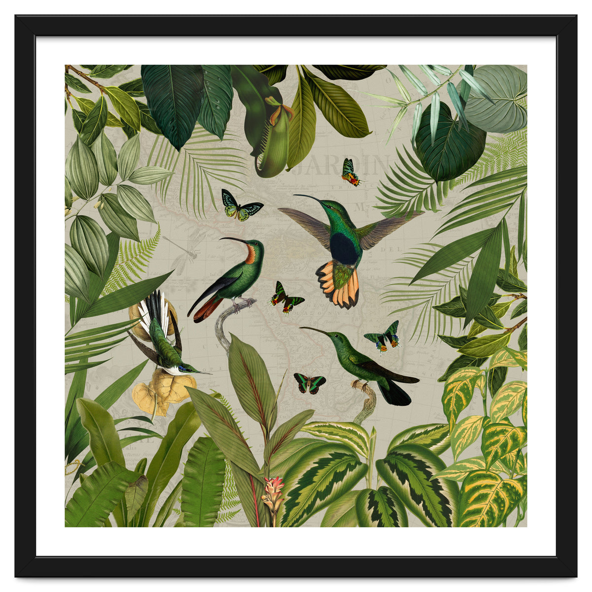 Vintage Exotic Hummingbirds Jungle