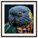 Close Up Portrait Of A Colorful Parrot's Face thumbnail