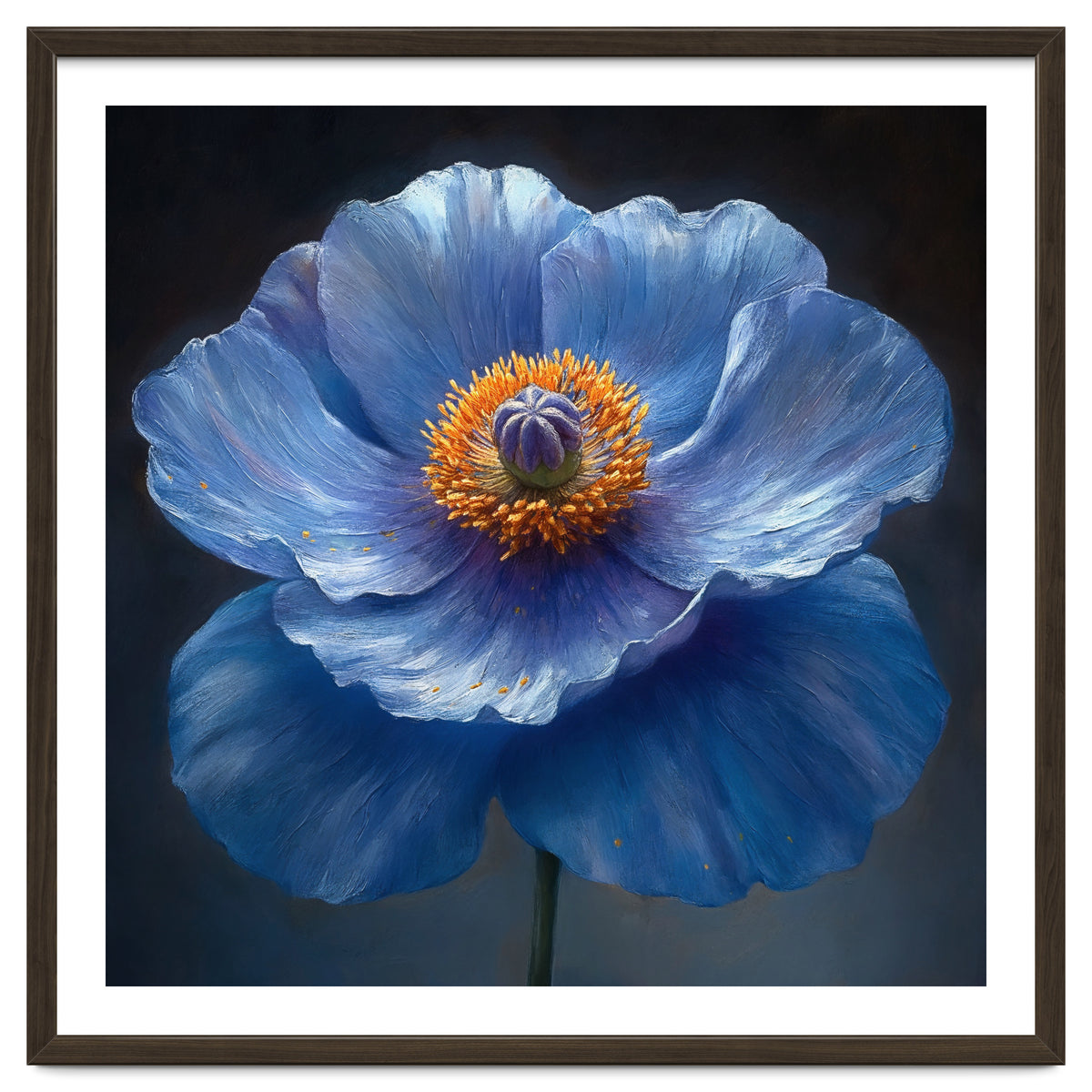 Meconopsis | Sapphire Serenade