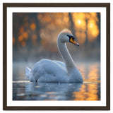 Beautiful Swan Floating On Water At Sunset thumbnail
