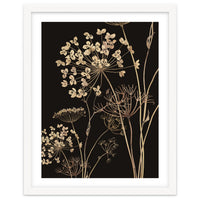 Wildflowers I