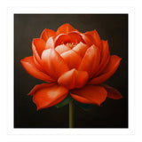 Double Lotus | Scarlet Solace (Print Only) thumbnail