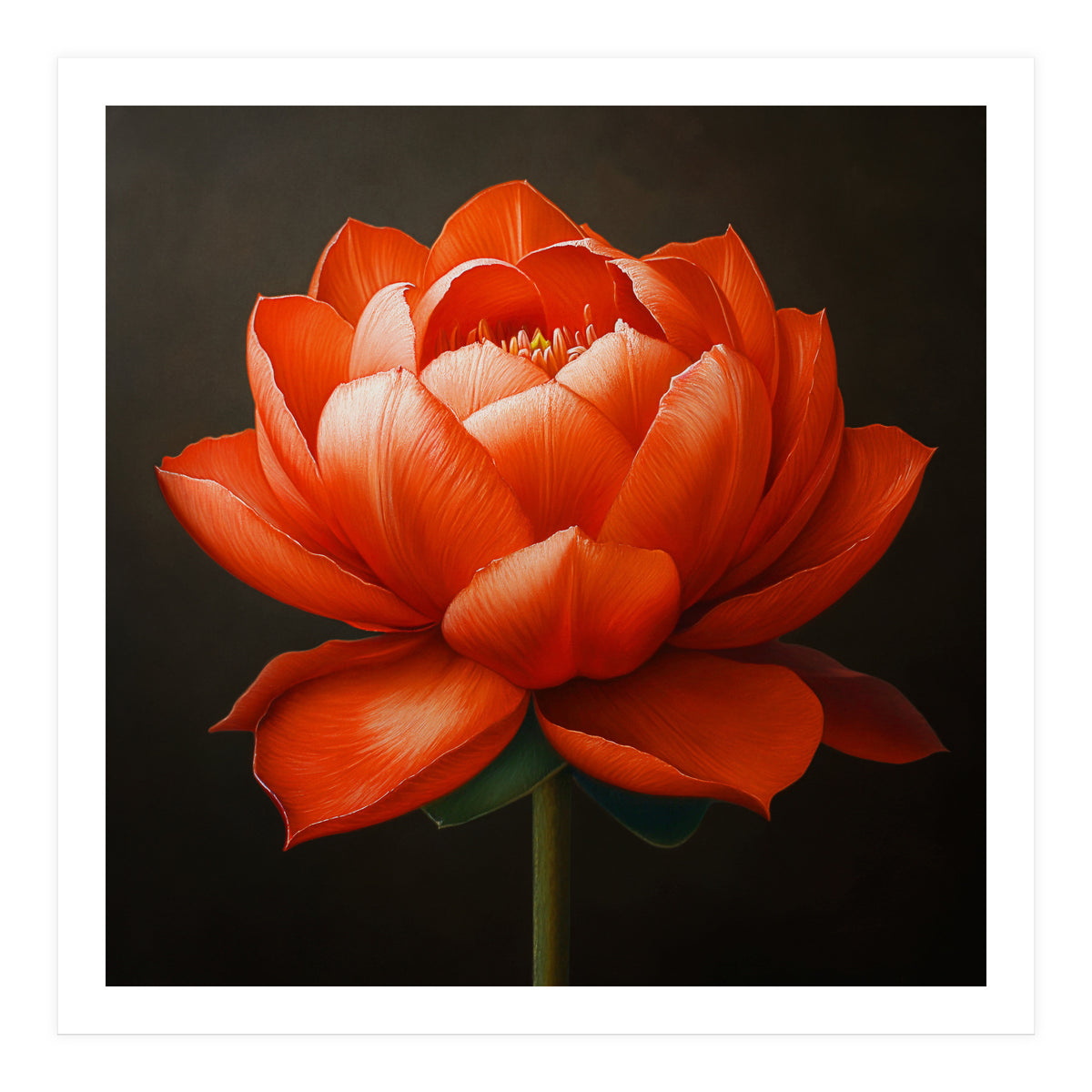 Double Lotus | Scarlet Solace (Print Only)