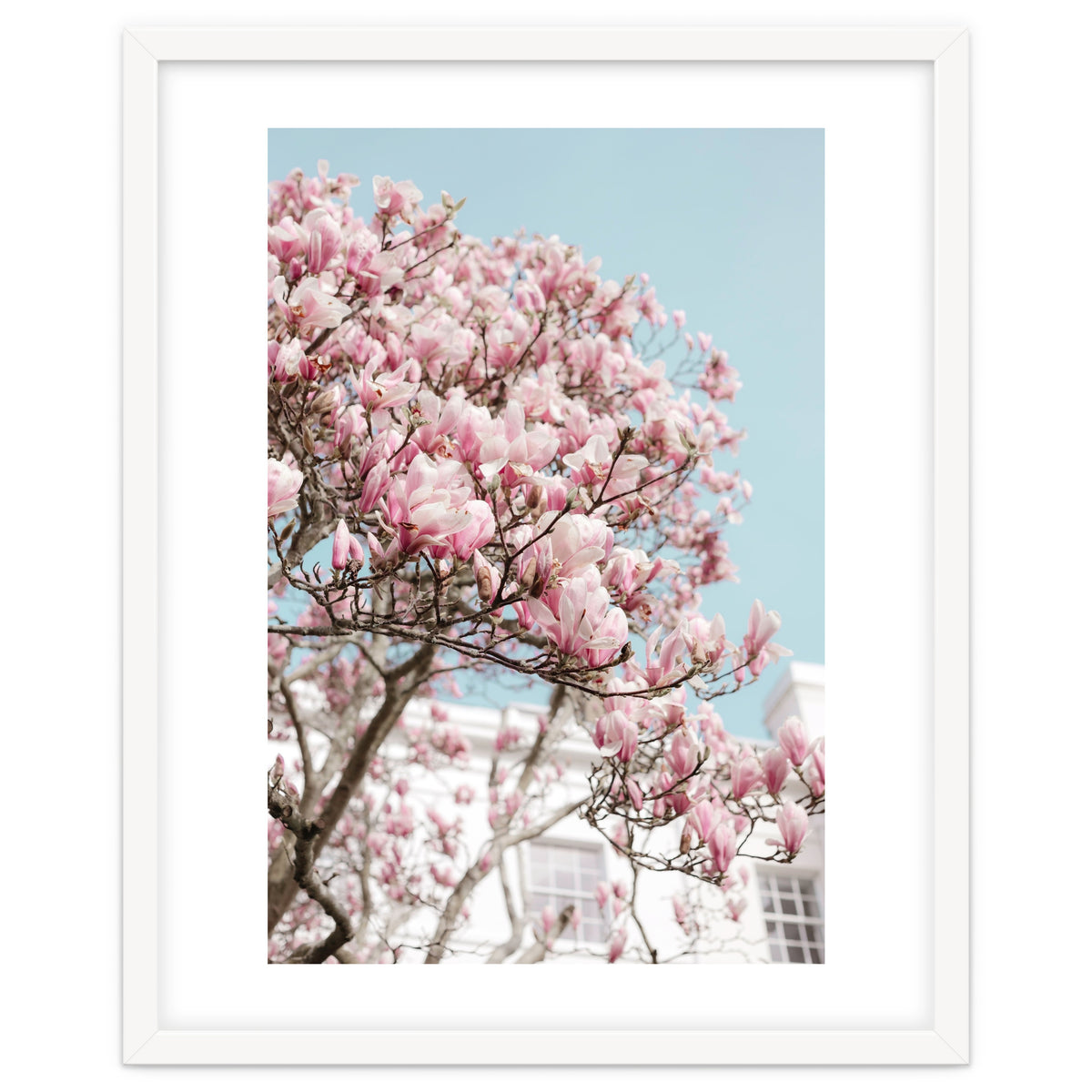 Spring Time