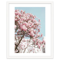 Spring Time