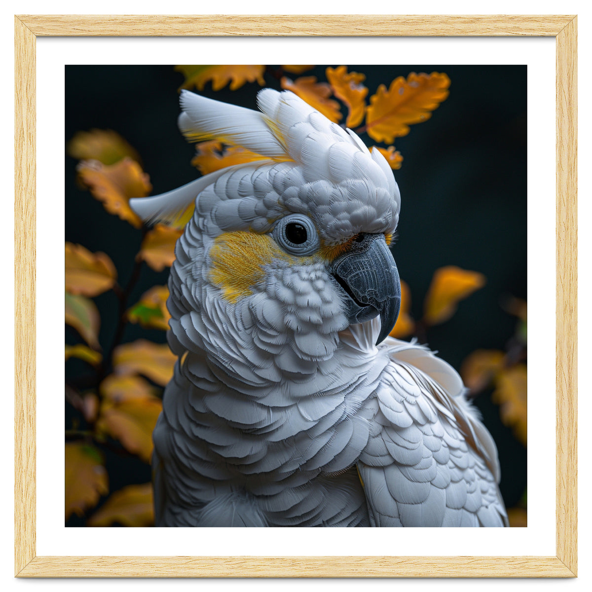 Yellow Crested Cockatoo Portrait Autumn Leaves Dark