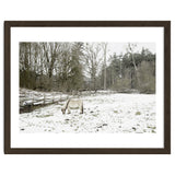 White horse in the snow field thumbnail
