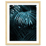 Blue Jungle Palm Ii thumbnail