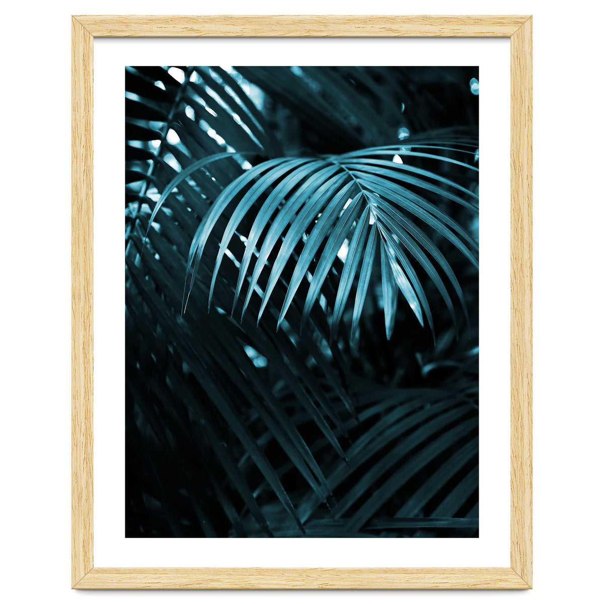 Blue Jungle Palm Ii