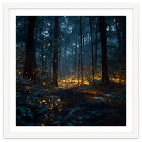 Enchanted Midnight Forest with Glowing Fireflies