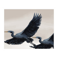 Migrating Herons (Print Only)
