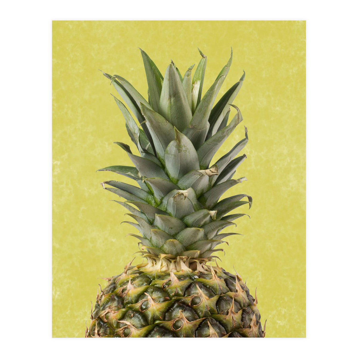 Pineapple Crown, Tropical Summer Fruit Art (Print Only)