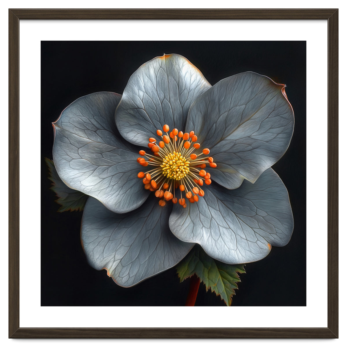 Hellebore | Silver Magic