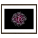 Backyard Flowers No 116 Color Version thumbnail