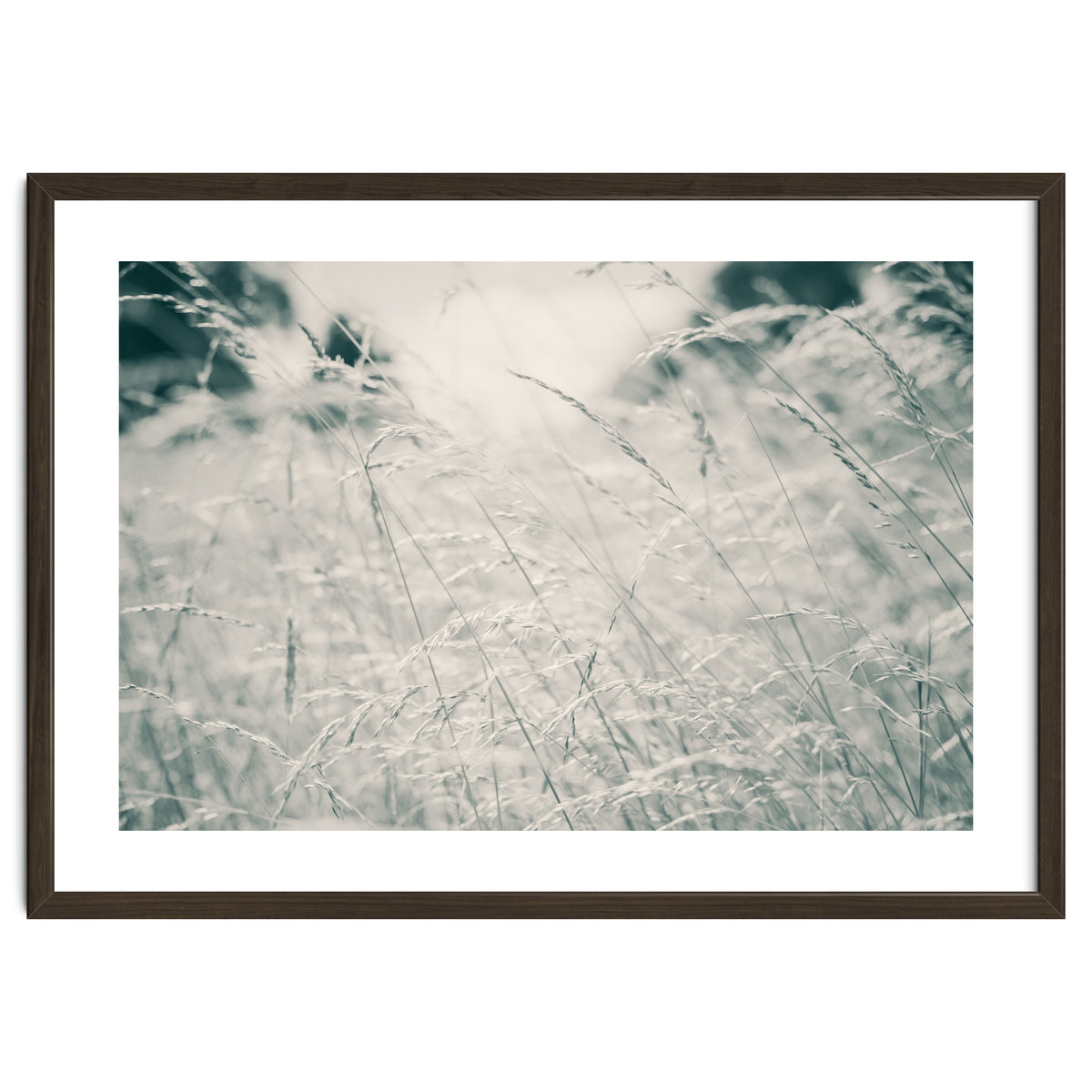 Walking Through Long Grass