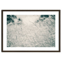 Walking Through Long Grass