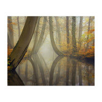 Bent trees in autumn (Print Only)