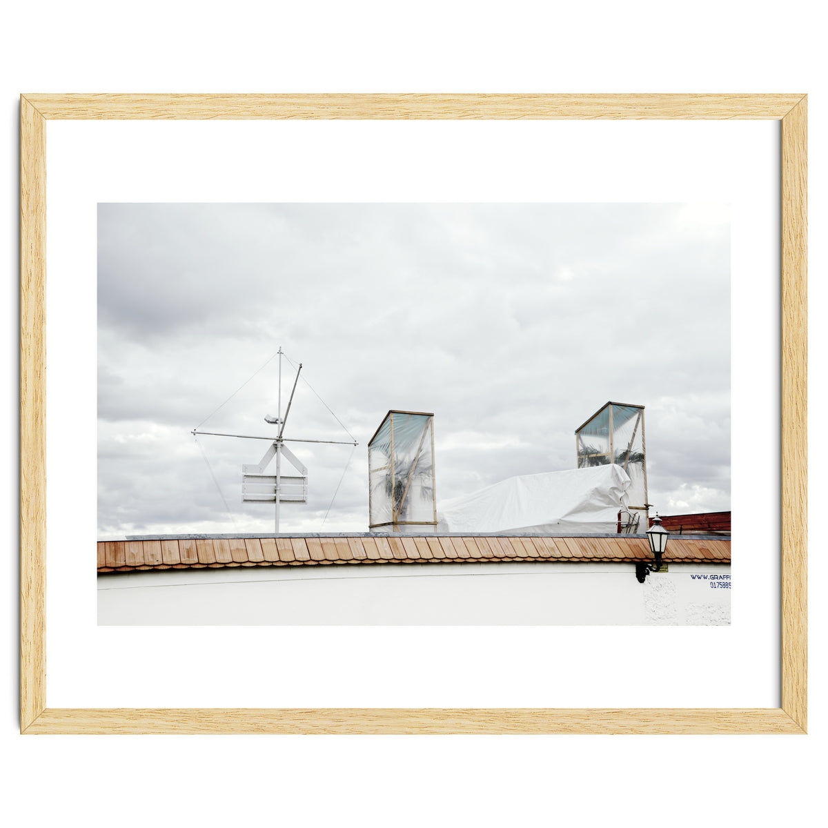 Palm tree waiting for summer