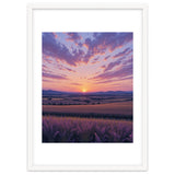 Serene Lavender Fields at Golden Hour Sunset thumbnail