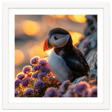 Puffin Bird Amidst Purple Flowers Golden Hour thumbnail
