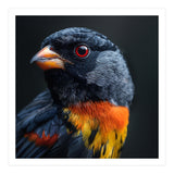 Black Bird With Red Eyes And Orange Chest Feathers (Print Only) thumbnail