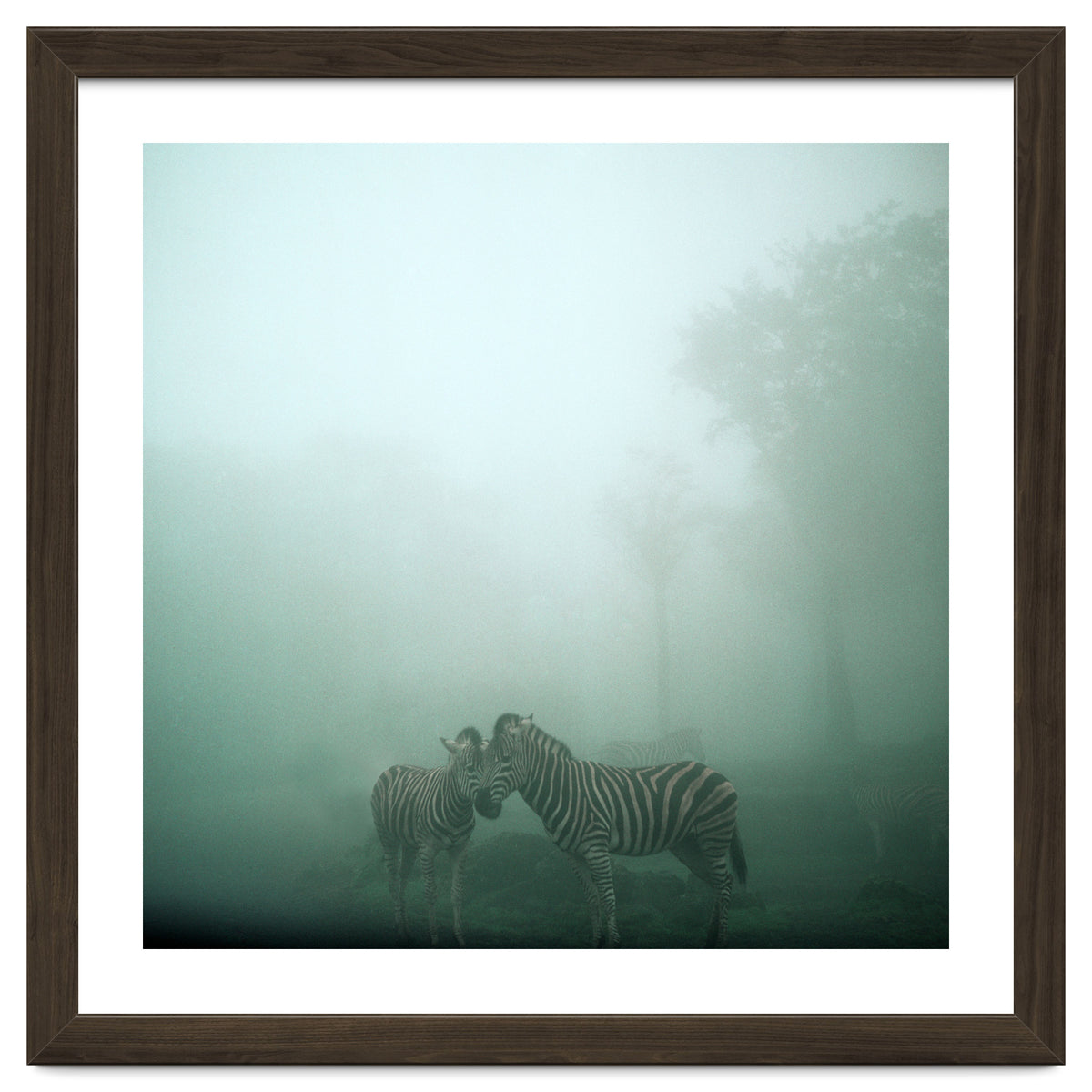 Silence of breath - 11