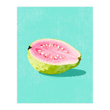 Guava Fruit Illustration (Print Only) thumbnail