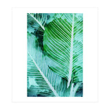 Rearranged Beauty (Print Only) thumbnail