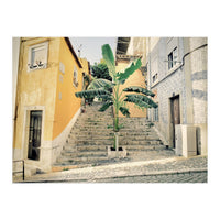 Lisbon Palm Tree (Print Only)