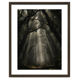 Enchanted Canopy: Mystical Forest Path thumbnail