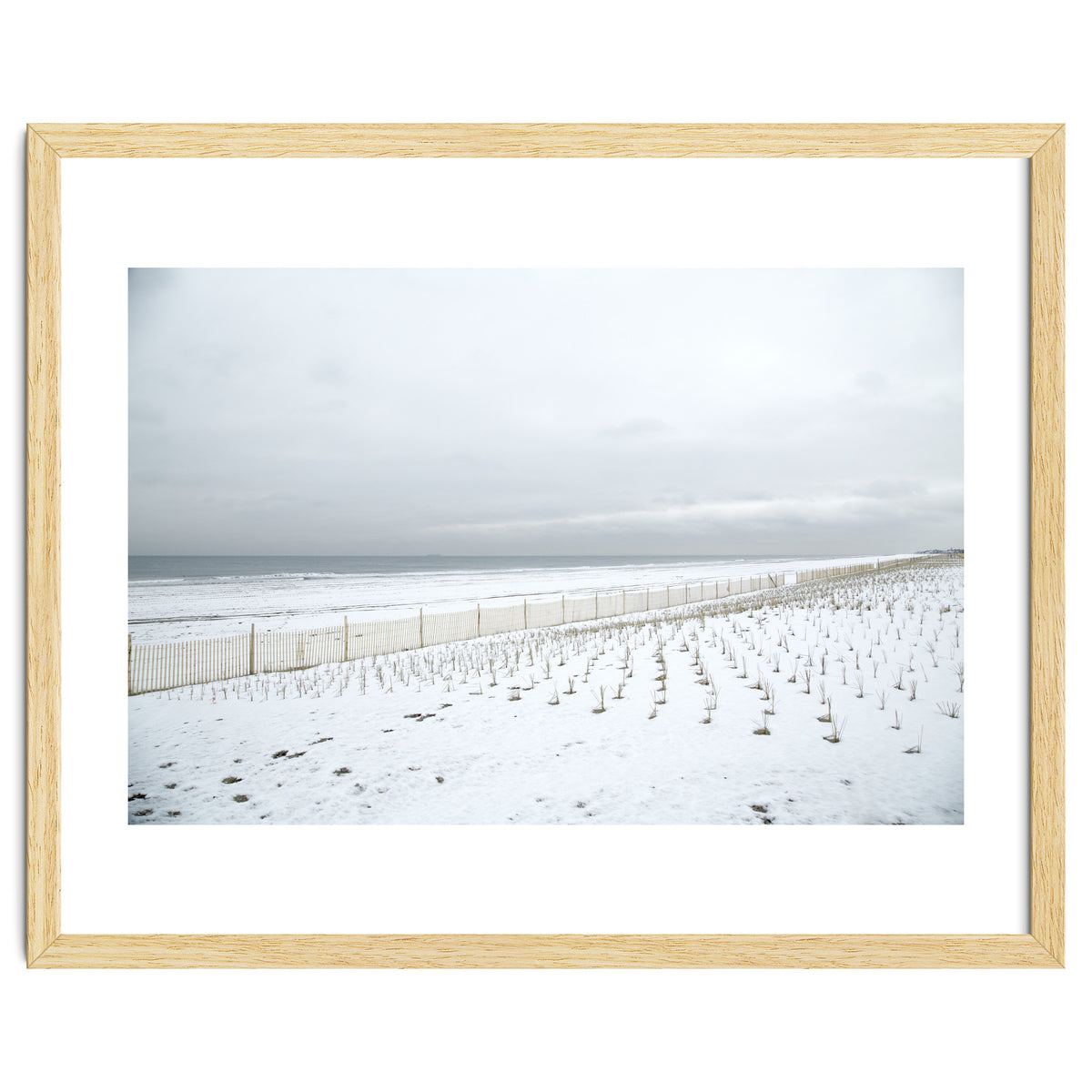 Winter grass in snow beach