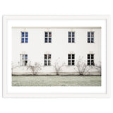 Small trees in between the windows thumbnail