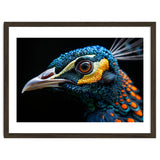 Close Up Of A Peacock Bird Head Eye thumbnail