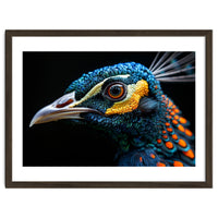 Close Up Of A Peacock Bird Head Eye
