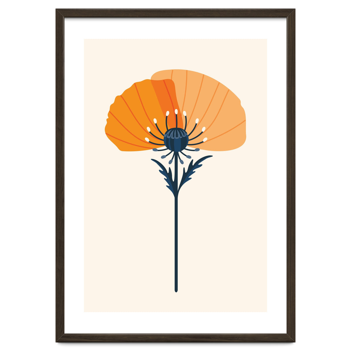 Orange Half Poppy