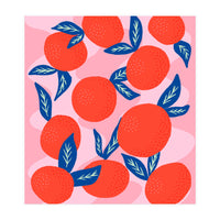 Colourful Mandarins (Print Only)