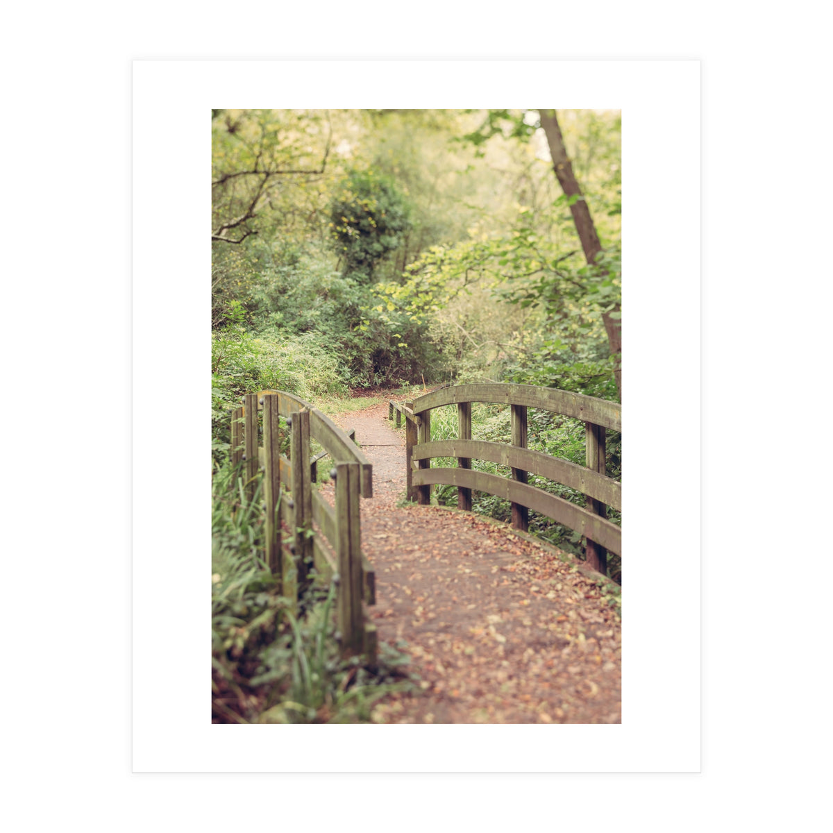 Path To The Bridge (Print Only)