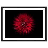 Backyard Flowers No 45 Color Flow Version thumbnail