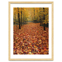 Ethereal Autumn Forest Path