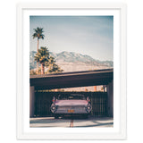 Palm Springs Pink thumbnail