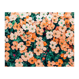 Floral Bliss, Nature Photography Garden Meadow, Blush Orange Coral Summer Flowers Botanical (Print Only) thumbnail