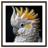 Close Up Cockatoo Portrait Yellow Crested Bird thumbnail