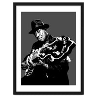 Taj Mahal American Blues Musician Legend